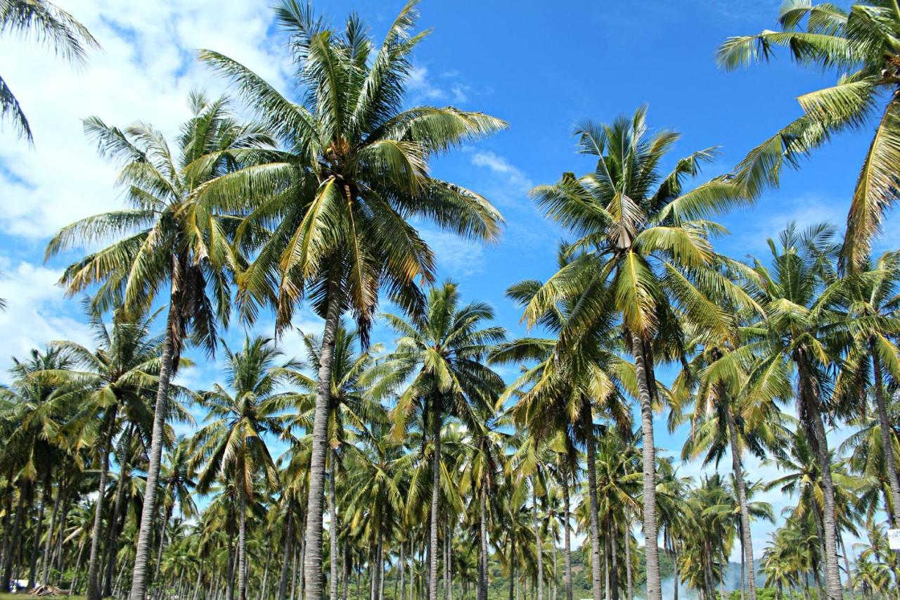 Wisma Bunda 2 Hotel Gili Trawangan Buitenkant foto